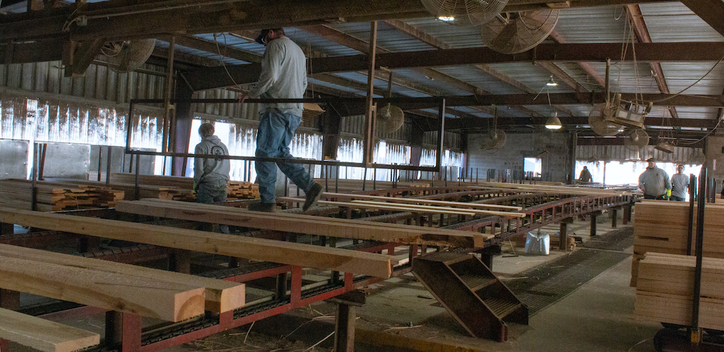 Workers remove the trimmed boards from the conveyor belt and sort the boards by length and wood type. McArthur, Ohio.