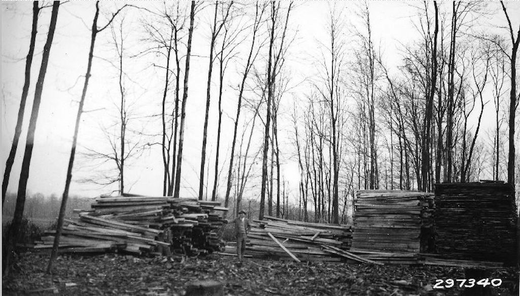 Laying out and stacking low-grade lumber at a sawmill setting in timber of George Munn's. Wayne National Forest. Image from 1934. (<i>Courtesy of the Southeast Ohio History Center</i>)